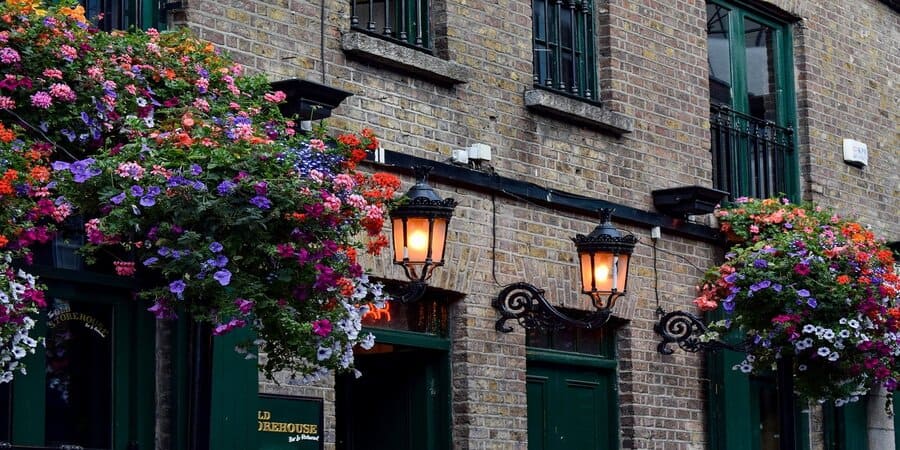 despues del curso de ingles en irlanda, socializa en un pub local