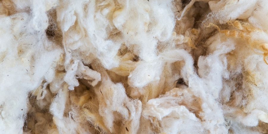 La lana se incorporo en la vestimenta celta luego del domesticamiento de las ovejas.