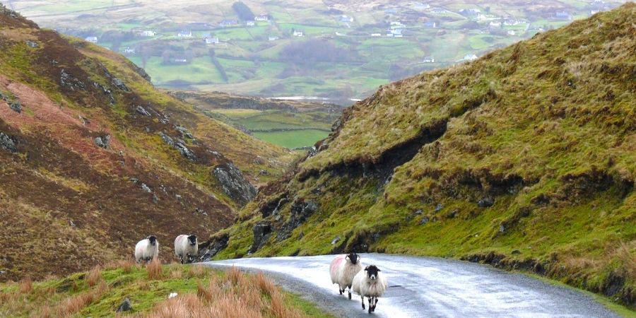 Montañas Qué Ver en Donegal IrlandaCarreteras para Conducir en Irlanda