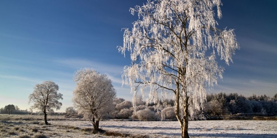 el invierno en europa es fuerte, por ellos se deben tomar previsiones